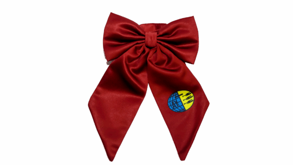 Young adult bow tie