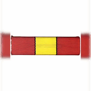 Companion Advanced Bar 