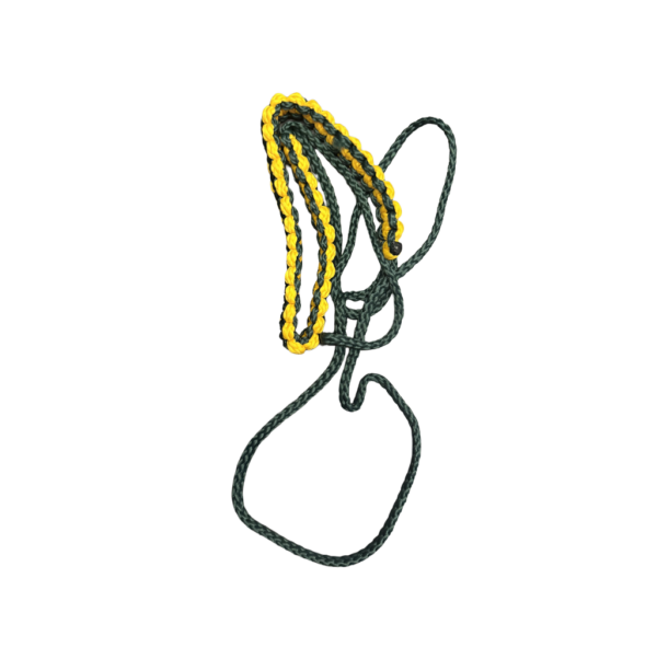Pathfinder Lanyard