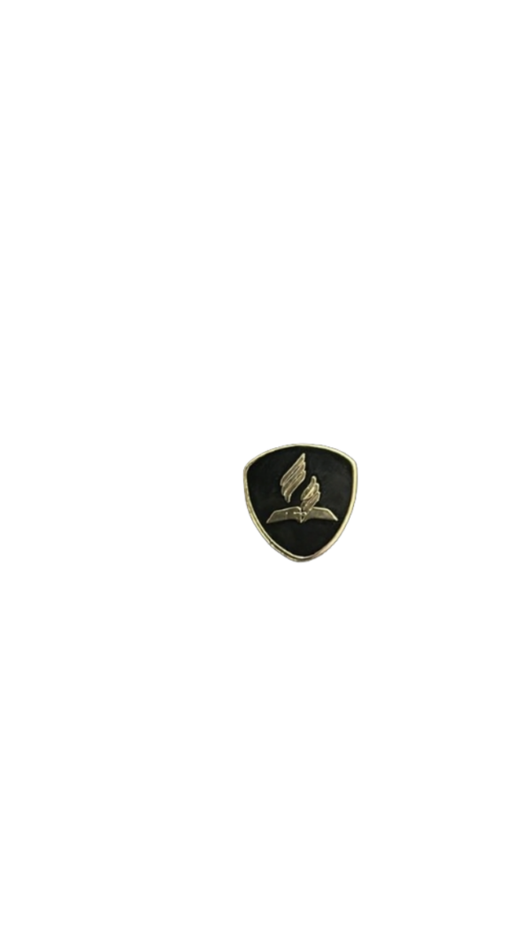 SDA Flame Pin